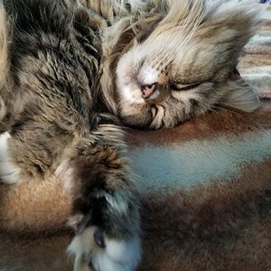 Meet your Posher, Rebecca